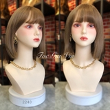 2240 VIC ĐUÔI NGANG