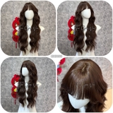 CH2166 BỘ XÙ SÓNG DÀI