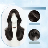 CH19 XOĂN LAYER LỮNG MÁI BAY