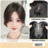 IS071 MÁI THẬT 4D PHỐI LƯỚI SAO MÓC TAY SIZE 8x10/25CM