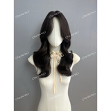 CH19 XOĂN LAYER LỮNG MÁI BAY