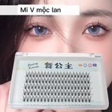 MI V MỘC LAN