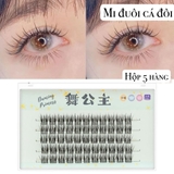 MI ĐUÔI CÁ ĐÔI HỘP XANH HỒNG