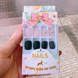 Nail Tay 46