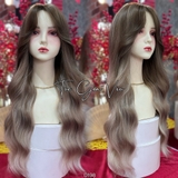 D198 BỘ RÊU OMBRE XÁM KHÓI