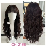 CH2166 BỘ XÙ SÓNG DÀI