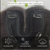 B169 MÁI PHỦ ĐỈNH LƯỚI U XOĂN DÀI