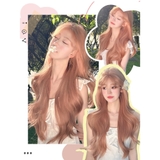 CH1866 XOĂN SÓNG MÁI BAY HỒNG ĐÀO