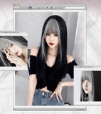 C0323 THẲNG SUÔNG ĐEN MÁI XÁM