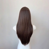 LT01 BỘ LƯỚI TRÁN THẲNG MÁI BAY