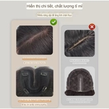 B169 MÁI PHỦ ĐỈNH LƯỚI U XOĂN DÀI