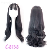 C8138
