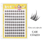 MI CÔNG CHÚA HỘP LỚN(2 LOẠI CÓ KEO)