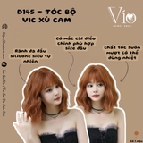 D145 BỘ VIC XÙ CAM TRUYỆN TRANH