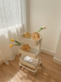 Kệ IKEA 4 bánh xe - 45x35xH78cm