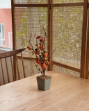 Cây lựu mini giả