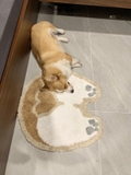 Thảm corgi