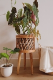 Đôn mây kê chậu cây 01 - Lớn