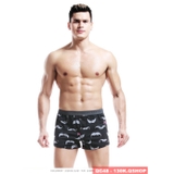 quan-short-ngu-nam-thun-cotton-thoi-trang-qc48