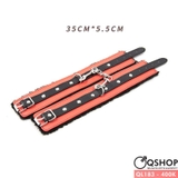 ql183-quan-short-di-bien-nam