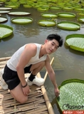 ab484-ao-3-lo-nam