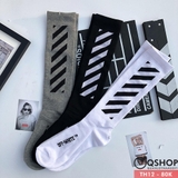 vo-dai-sanh-dieu-thoi-trang-th12