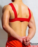 dai-nguc-mau-tron-ql218