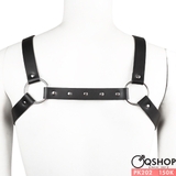 dai-nguc-da-ban-nho-pk202