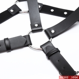 dai-nguc-da-ban-nho-pk202