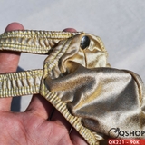 quan-lot-lot-khe-nam-qk231