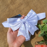 qk433-quan-lot-nam