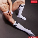 vo-tat-dai-nam-mau-moi-th21