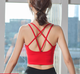 Áo croptop tập gym yoga dây đan mảnh PT172