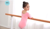 Áo tập múa basic dài tay (tím, hồng)