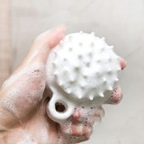 Lược gội đầu