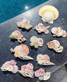 🐚 Kẹp Vỏ Sò – Món Phụ Kiện Nhỏ Xinh Mang Hơi Thở Của Biển 🌊