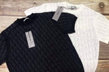 Dior T-Shirt mit Dior Oblique Motiv