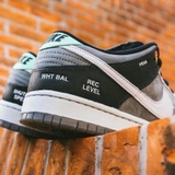 Nike Dunk Low SB 'Máy Ảnh'