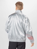Adiddas Track Jacket Tricolor Adicolor 'Silver'
