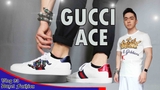 Gucci ACE 'Rắn Đá'