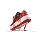 Air Jordan 1 Elevate Low SE 'Bred'