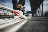 Adidas Prophere OG