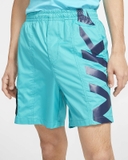Quần short Nike SB Aqua (Form Á)