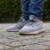 Yeezy 350 V2 'True Form'