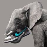 Nike SB Dunk Low Pro 'Elephant'