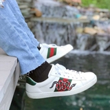 Gucci ACE 'Rắn Thêu'