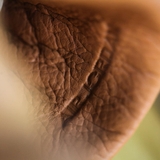 Jordan 4 Premium 'Gỗ Rừng'