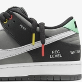 Nike Dunk Low SB 'Máy Ảnh'