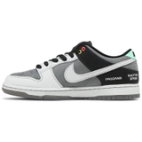 Nike Dunk Low SB 'Máy Ảnh'