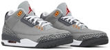 Jordan 3 Retro 'Cool Grey' 2021